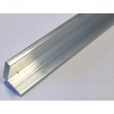 Apatinis aliuminio profilis 3 m