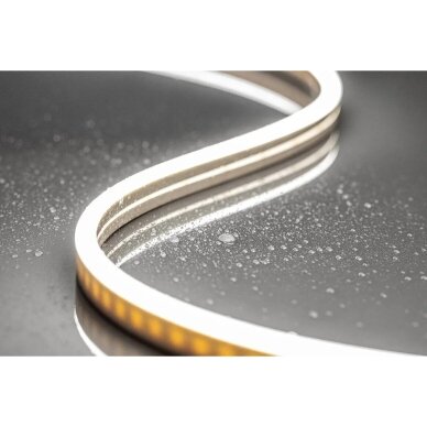LED juosta NEON FLEX, 12W, 12V, 5m, 100 lemp/m, šaltai balta 1 LED juosta NEON FLEX, 12W, 12V, 5m, 100 lemp/m, šaltai balta 1