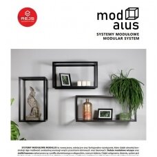REJS modulinė sistema MODALUS