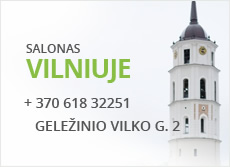 Vilniuje